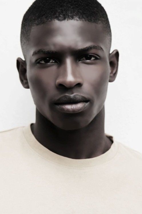 oh my god twitter doesn’t include alt text from images in their API