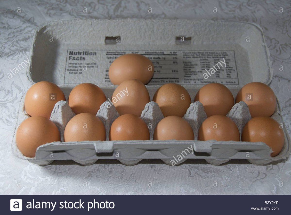 oh my god twitter doesn’t include alt text from images in their API