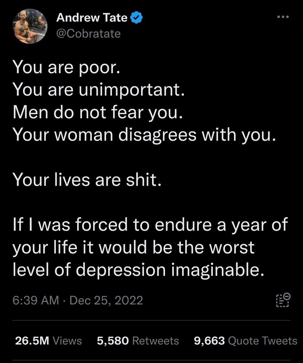 oh my god twitter doesn’t include alt text from images in their API