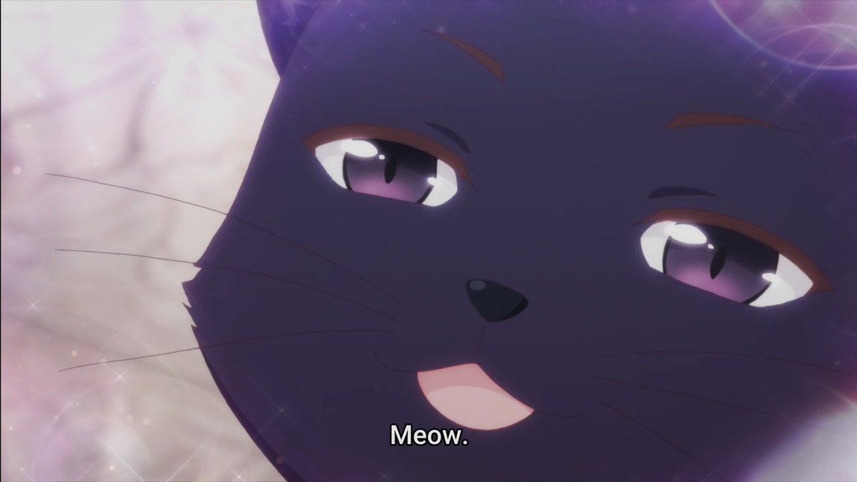 oh my god twitter doesn’t include alt text from images in their API